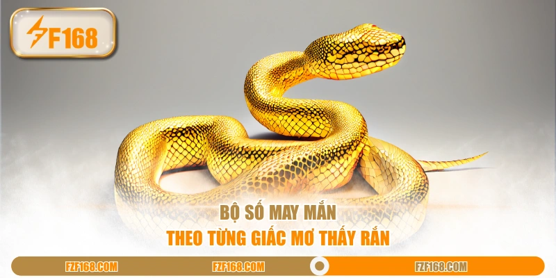 Bộ số may mắn theo từng giấc mơ thấy rắn Bộ số may mắn theo từng giấc mơ thấy rắn