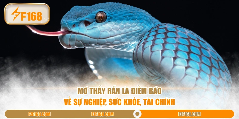 Mơ thấy rắn là điềm báo về sự nghiệp, sức khỏe, tài chính Mơ thấy rắn là điềm báo về sự nghiệp, sức khỏe, tài chính